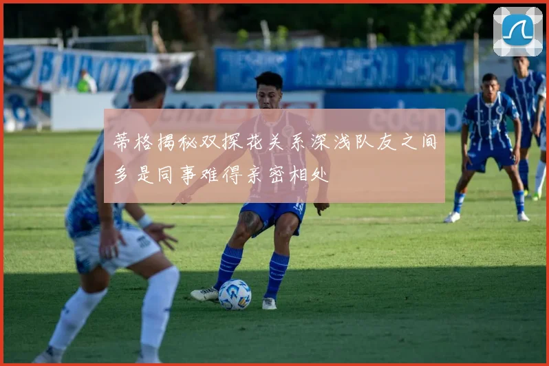 蒂格揭秘双探花关系深浅队友之间多是同事难得亲密相处